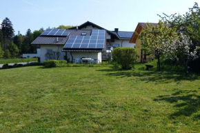 1-Zimmer-Studio am Waldrand